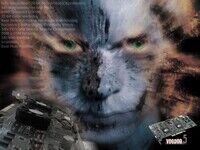 3dfx_wallpaper_015.jpg
