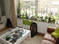 The Vitrine Table & Orchids Update Saturday, June 23, 2012