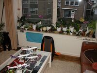 VGA Table & Orchids Update Thursday, January 16, 2014
