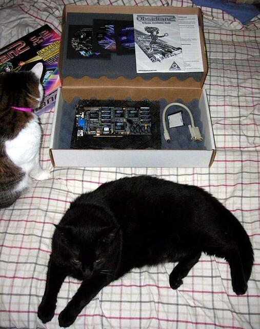 s12_cats
