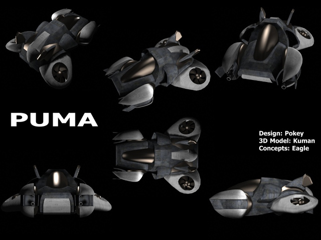 PUMA.JPG