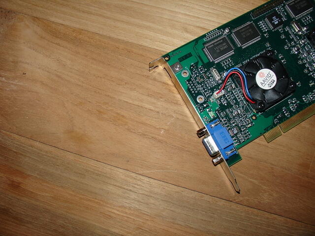 Gold 3 Headshot b.JPG