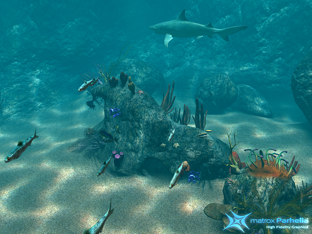 reef demo P512 FAAx16 c