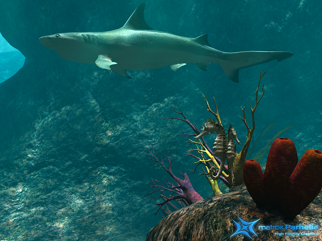 reef demo P512 FAAx16 e