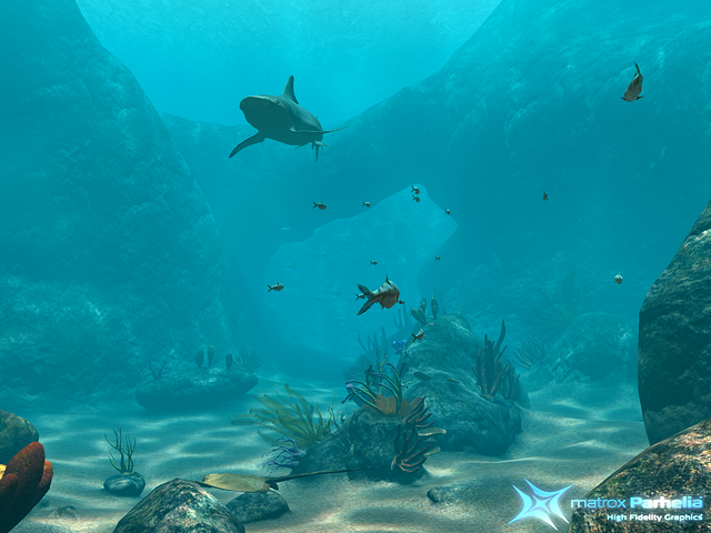 reef demo P512 FAAx16 f