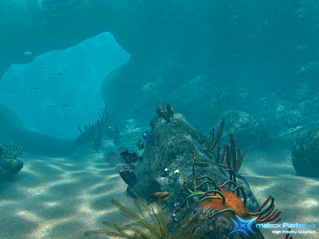 reef demo P512 FAAx16 g