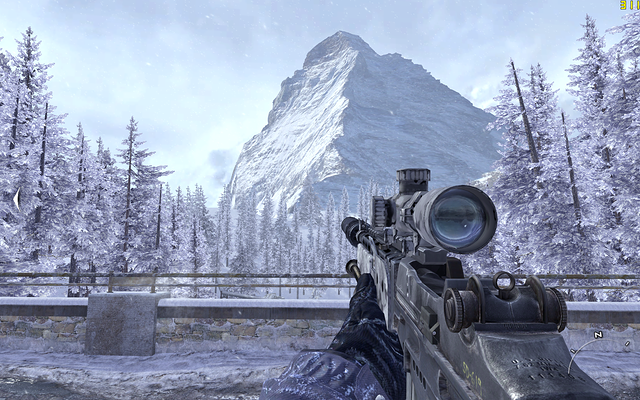 CoD6 MW2 max settings on Quad SLI GTX 295 RE's b