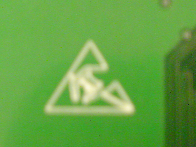 DSC06096.JPG