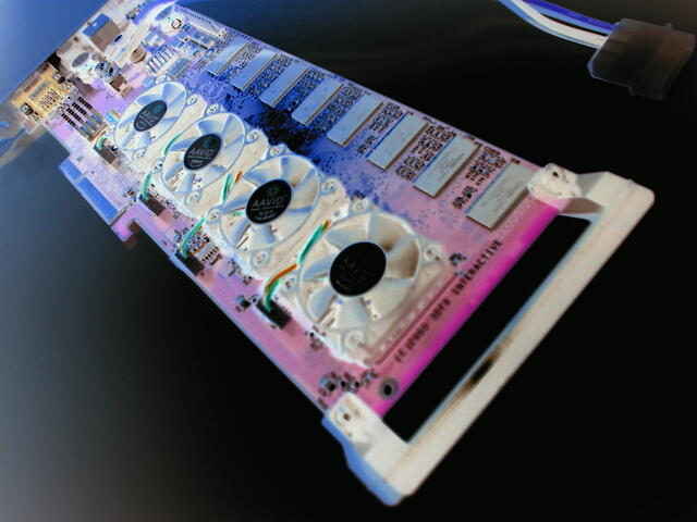 DSC06140.JPG